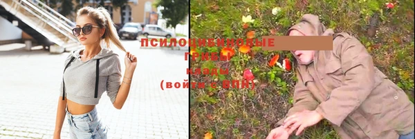 твердый Баксан