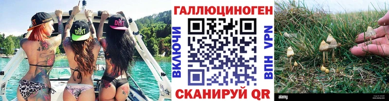 Галлюциногенные грибы MAGIC MUSHROOMS даркнет сайт Ясный